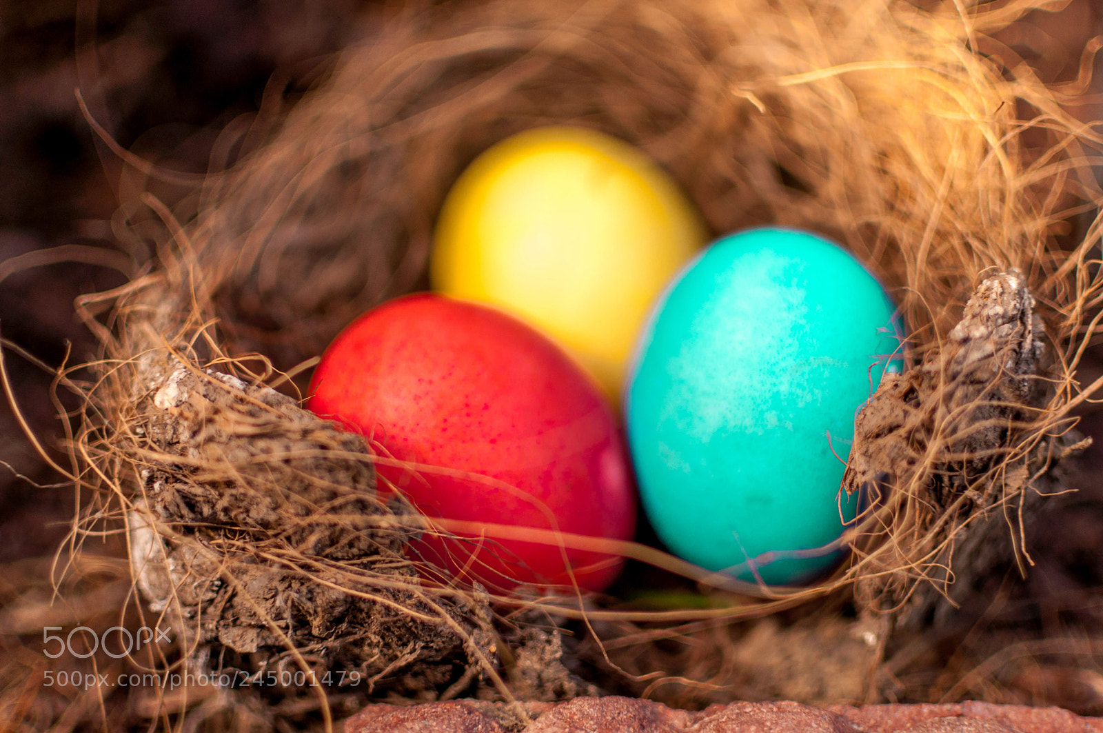 Nikon D5000 sample photo. Easter is coming photography