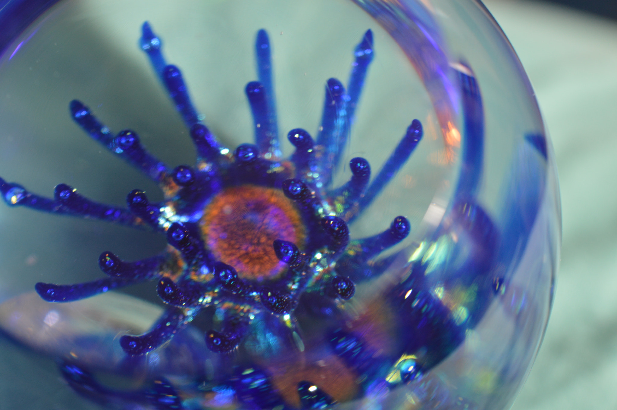 Nikon AF-S DX Micro Nikkor 40mm F2.8 sample photo. Captive star in its glass sphere... photography