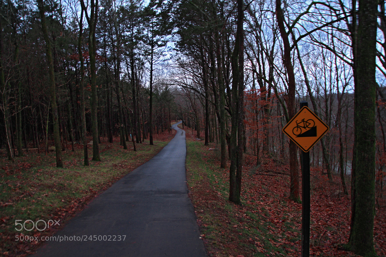 Canon EOS 650D (EOS Rebel T4i / EOS Kiss X6i) sample photo. Walter hill trailhead photography