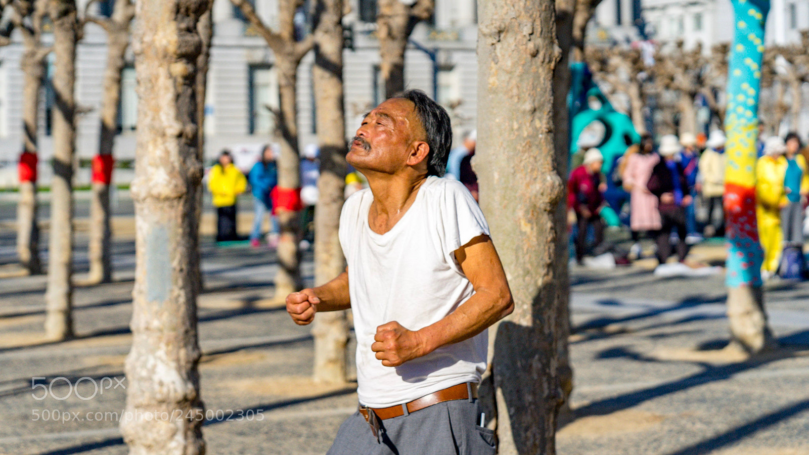 Sony a7 II sample photo. Living tai chi photography