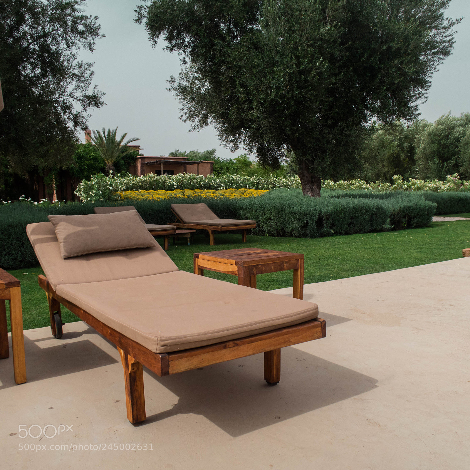 Canon PowerShot G7 X sample photo. Lazy boy and garden photography