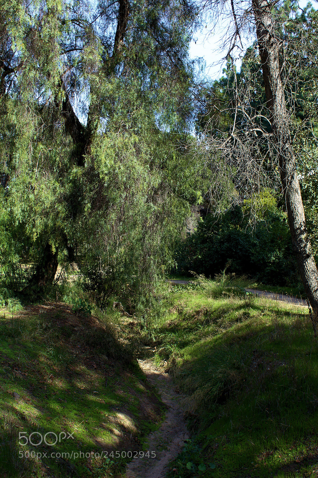 Canon EOS 1300D (EOS Rebel T6 / EOS Kiss X80) sample photo. Dry creek photography