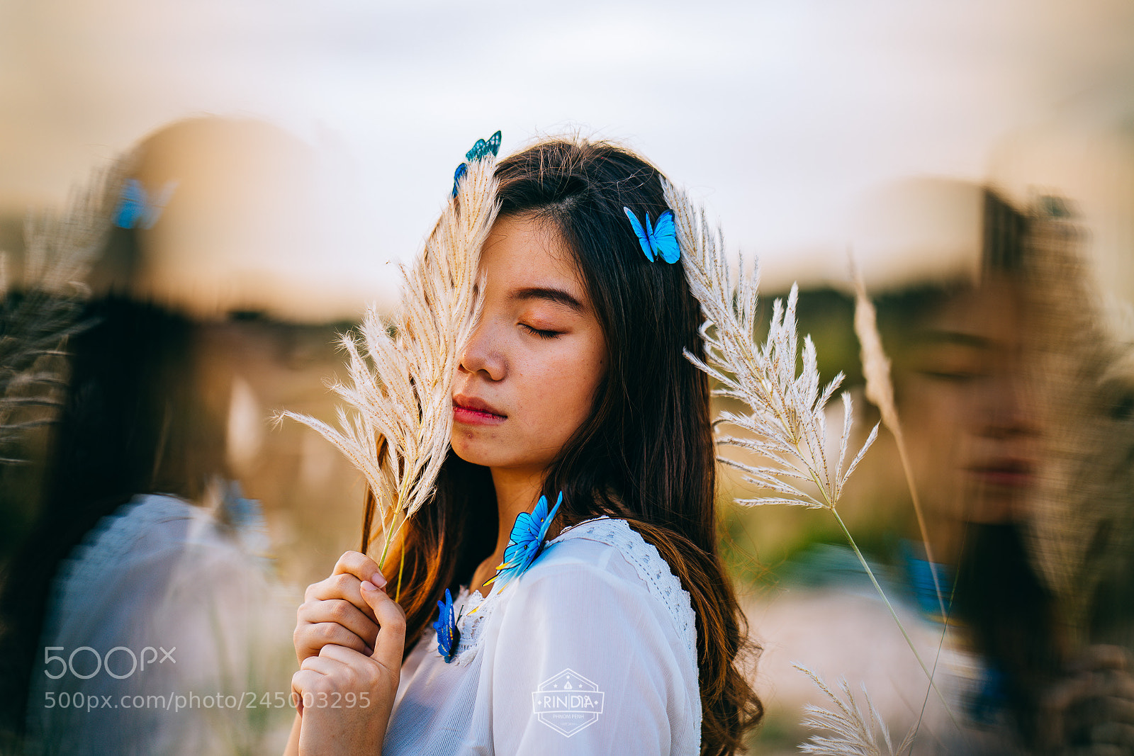 Sony a7R II sample photo. Butterfly darlin photography