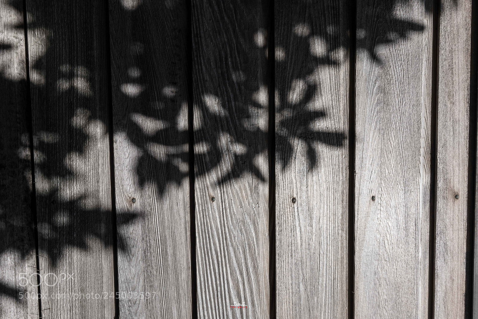 Sony a7R III sample photo. 墙 photography