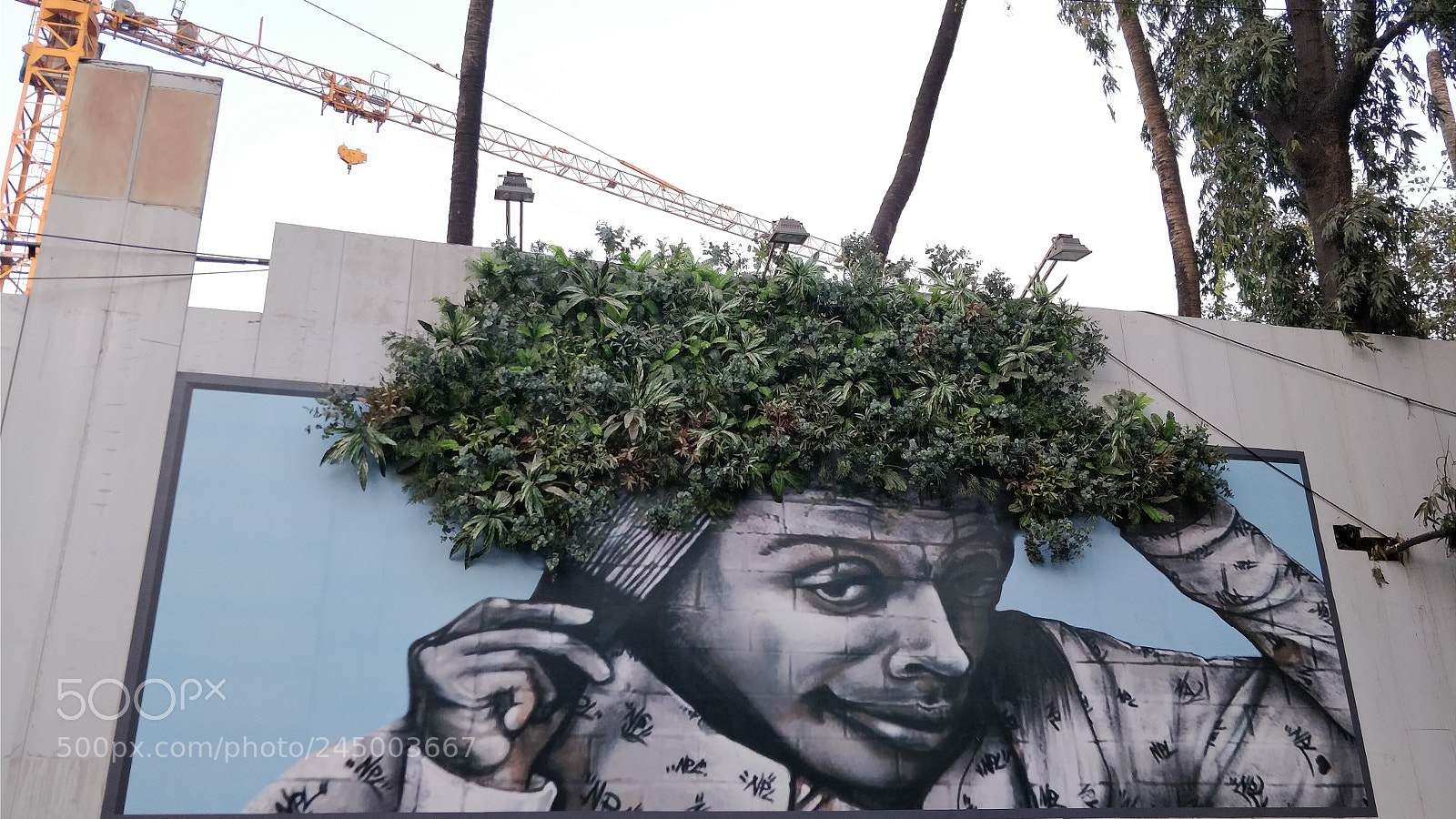 OnePlus 5 sample photo. Wall art photography