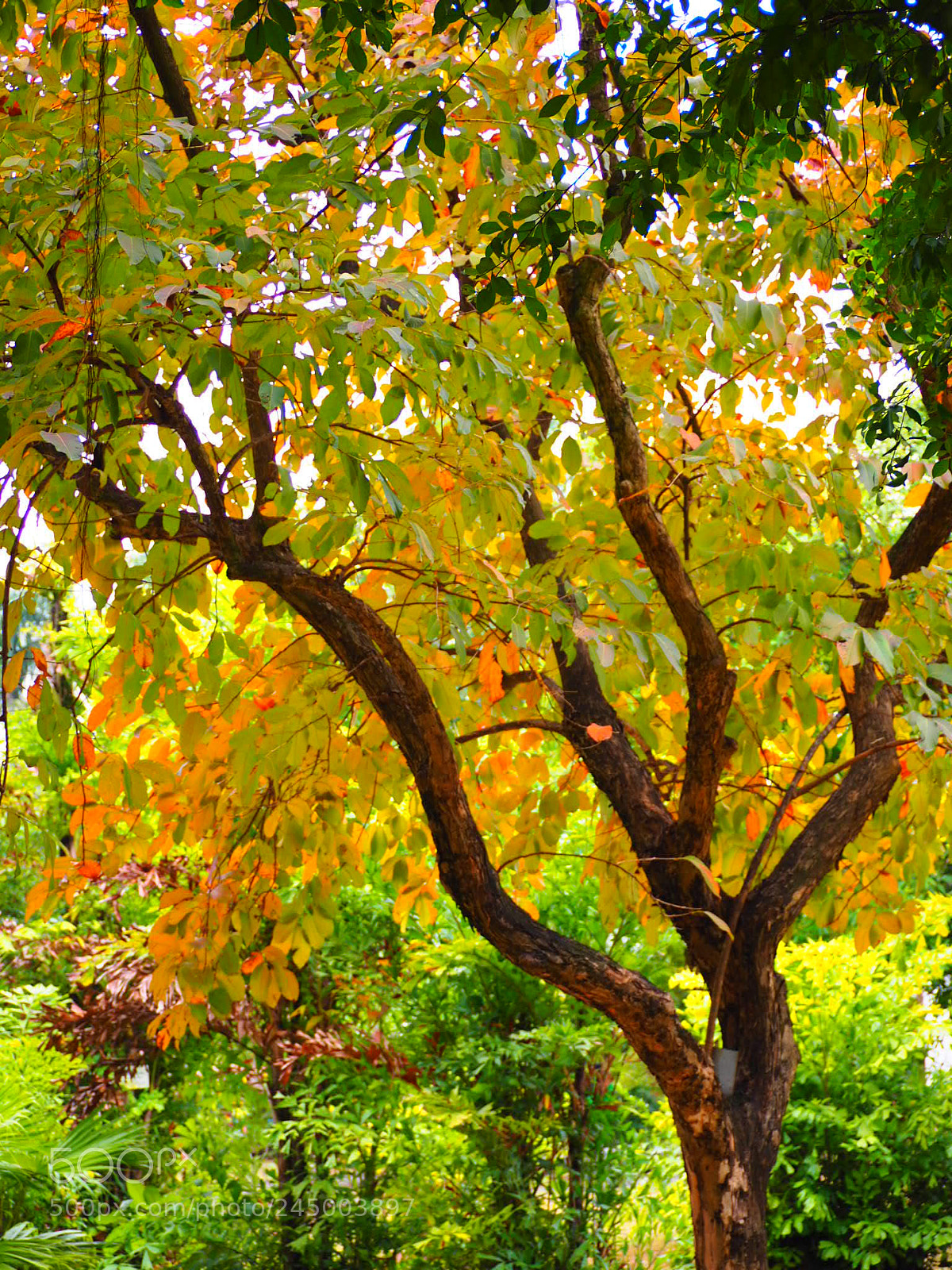 Olympus OM-D E-M10 II sample photo. Untitled photography
