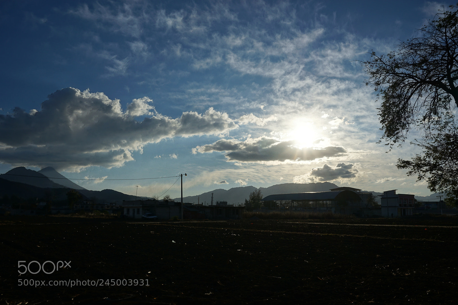 Sony a5100 sample photo. Afternoon photography