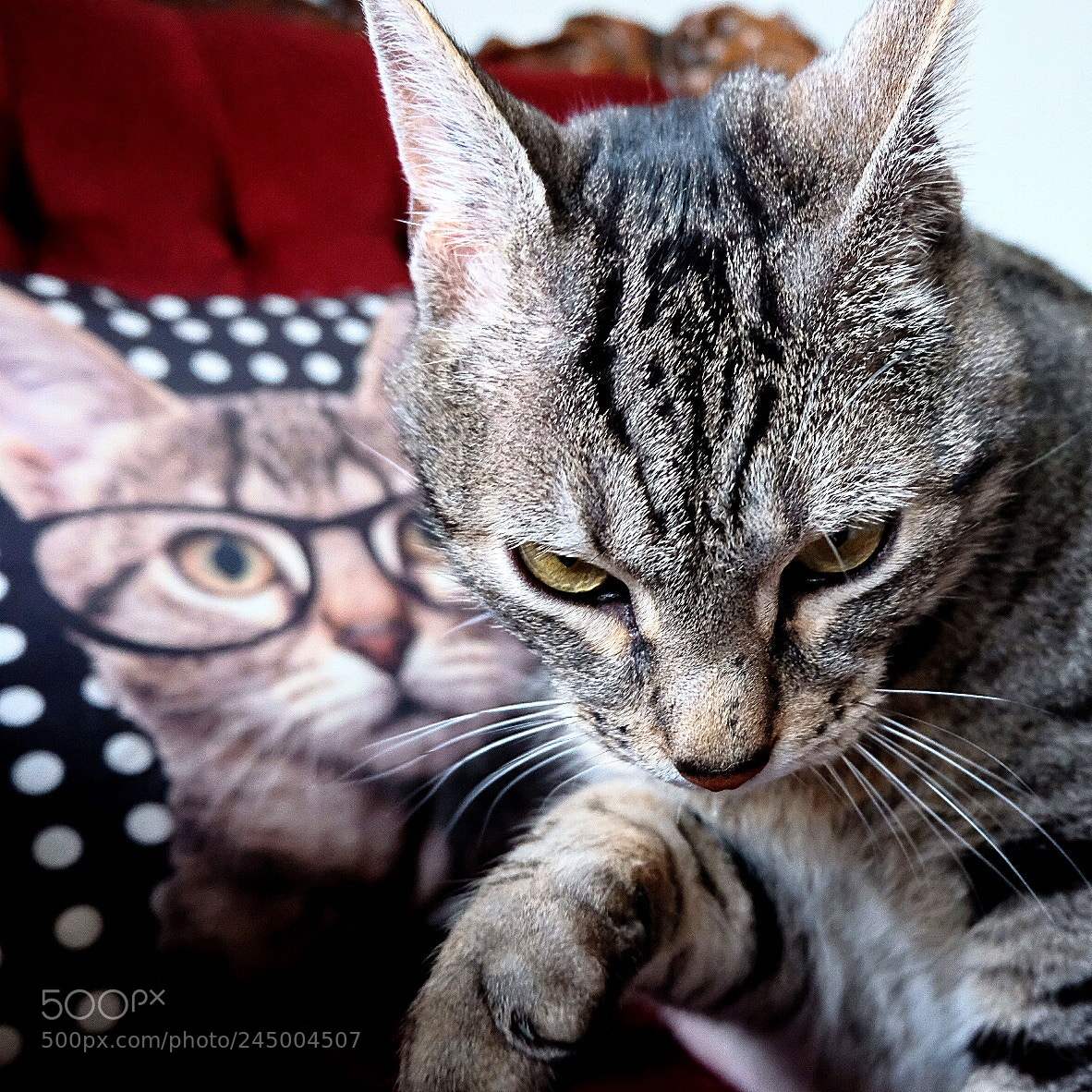 Fujifilm X-T20 sample photo. Double... photography
