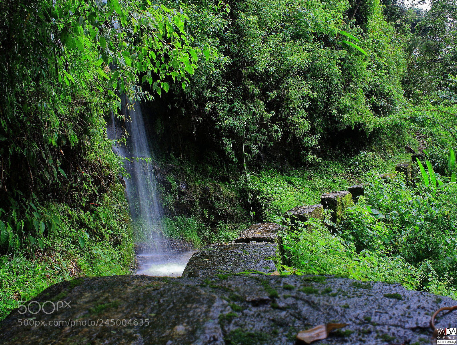 Canon EOS 1000D (EOS Digital Rebel XS / EOS Kiss F) sample photo. Cascada de niebla photography