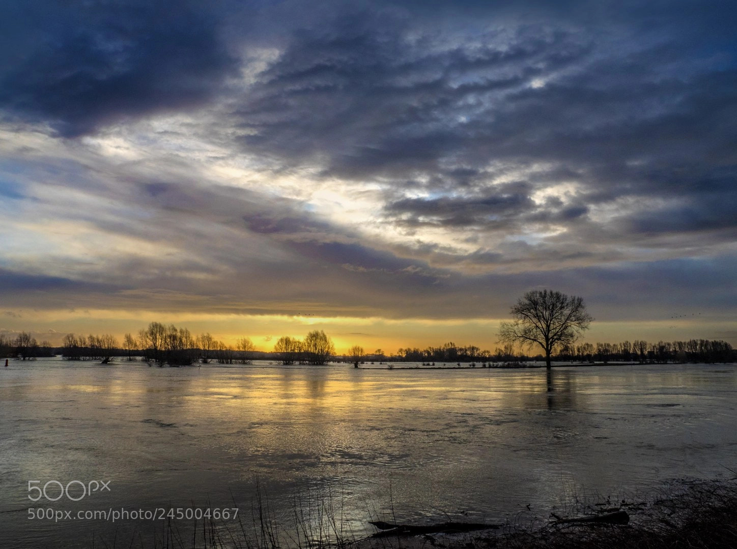 Olympus OM-D E-M1 sample photo. The ijssel in the photography