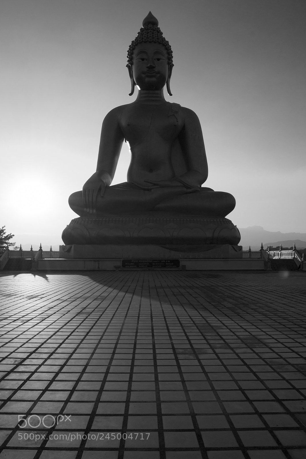 Nikon D3100 sample photo. Untitled photography