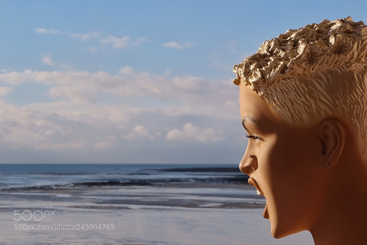 Fujifilm X-T20 sample photo. Le mannequin à la plage photography