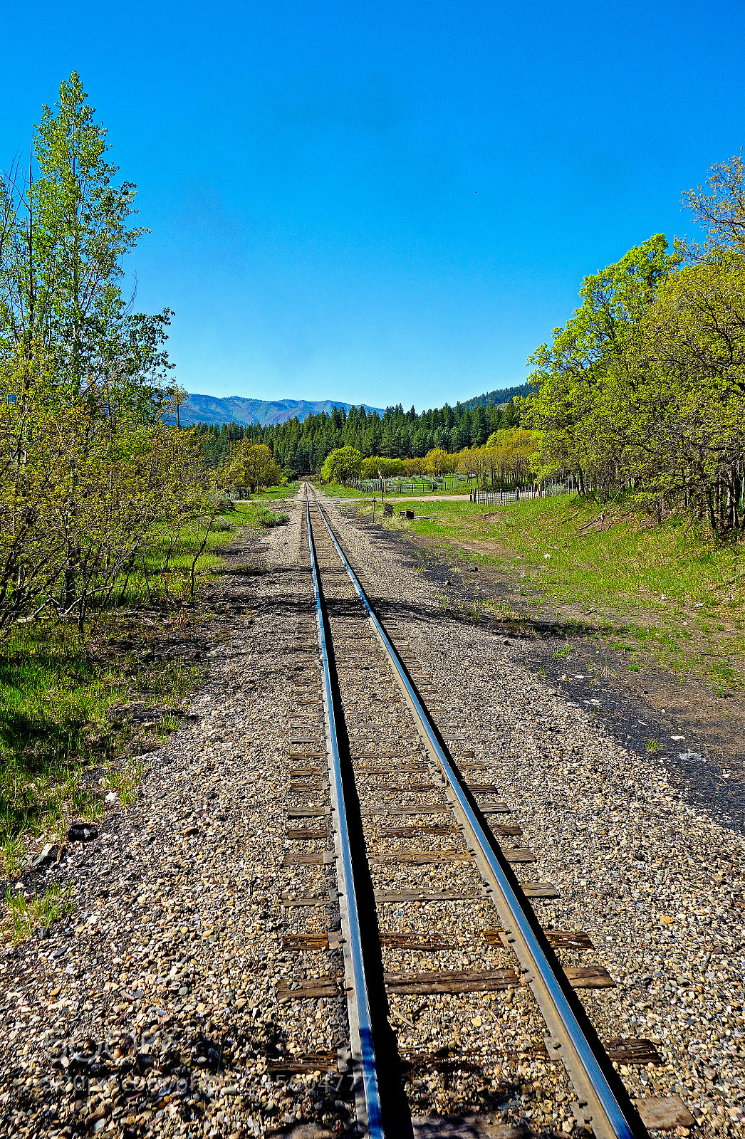 Sony Cyber-shot DSC-RX100 sample photo. Tracks from durango photography