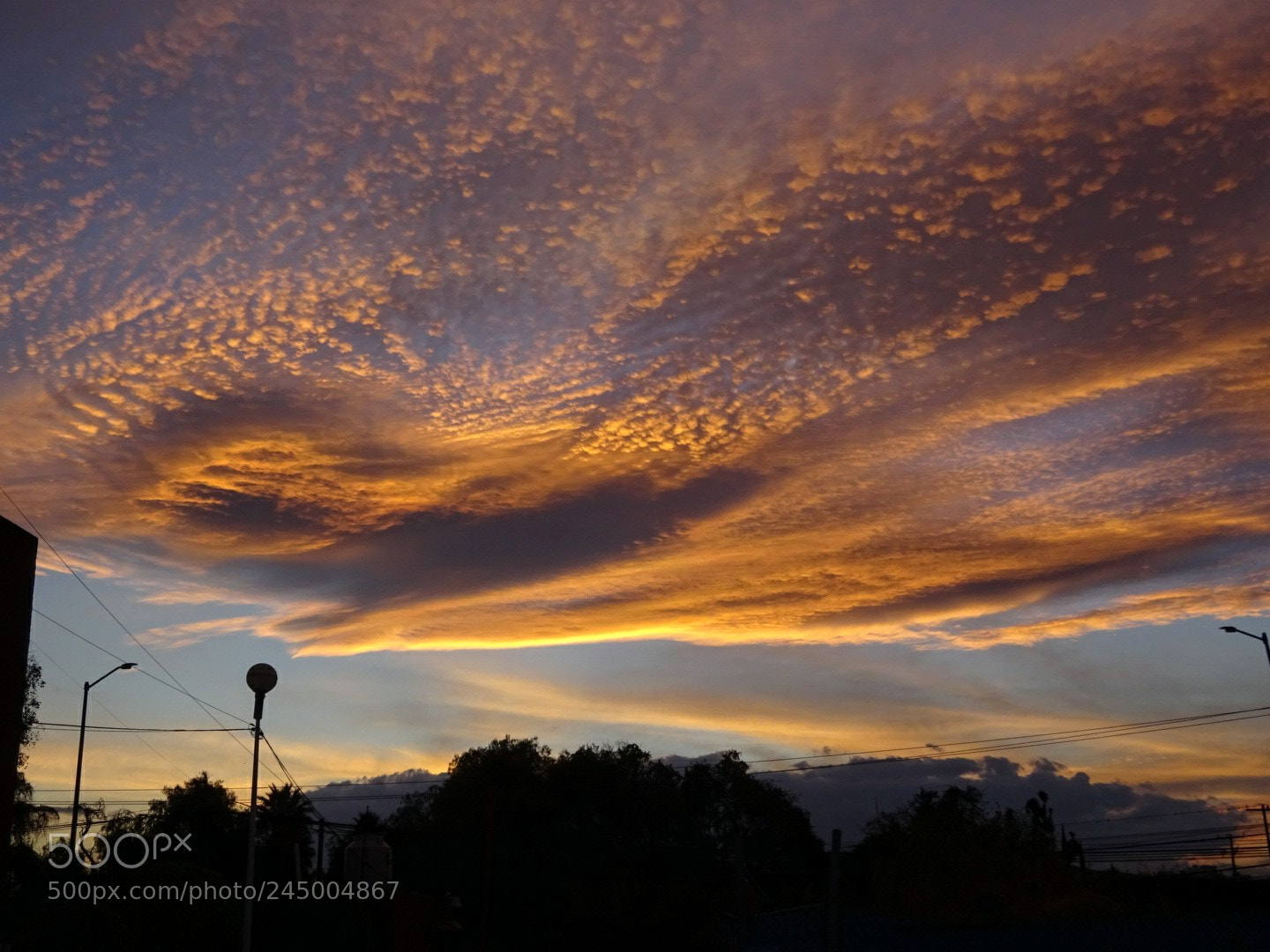 Sony Cyber-shot DSC-WX350 sample photo. Belleza gratis photography