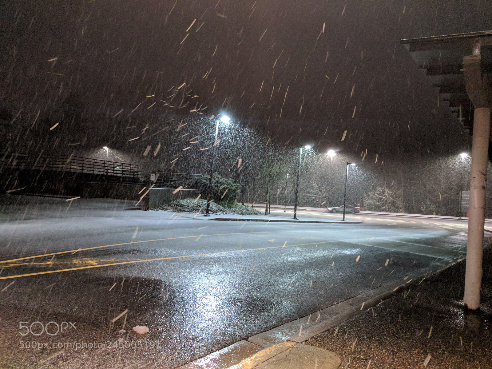 Google Pixel sample photo. Untitled photography