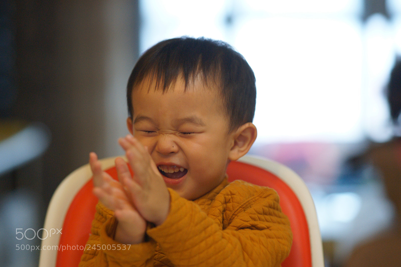 Sony Alpha DSLR-A850 sample photo. Untitled photography