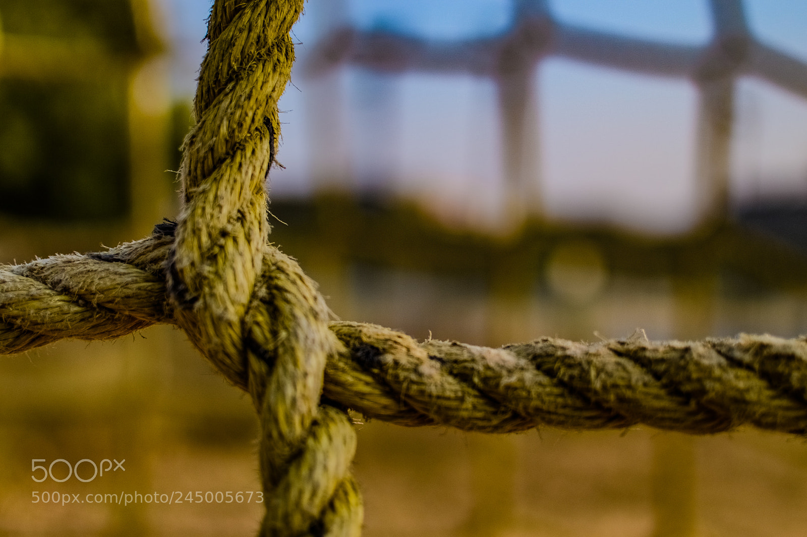 Nikon D3200 sample photo. Rope net photography
