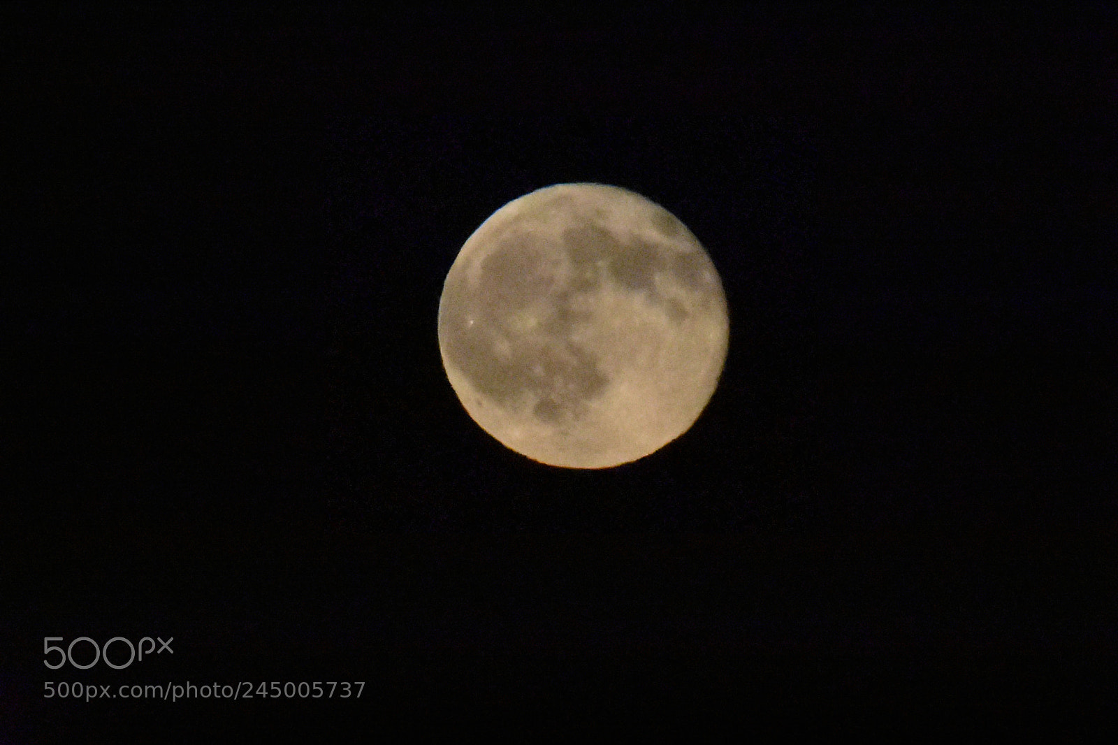Nikon D3400 sample photo. The moon photography