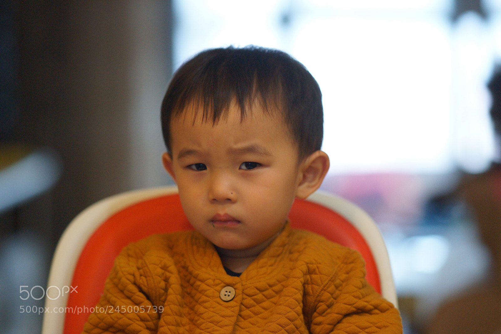 Sony Alpha DSLR-A850 sample photo. The first time he photography