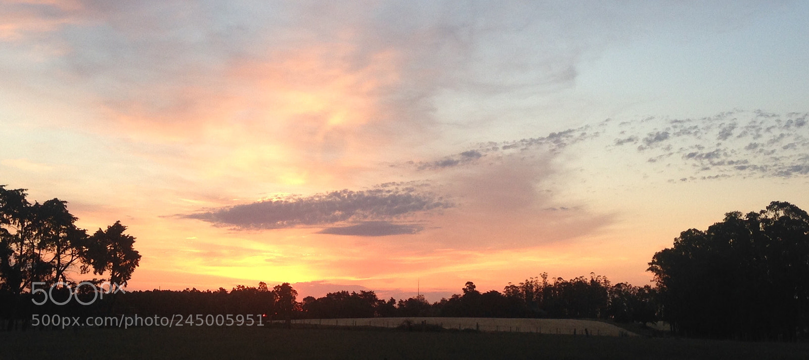 Apple iPhone 5 sample photo. Florida. photography