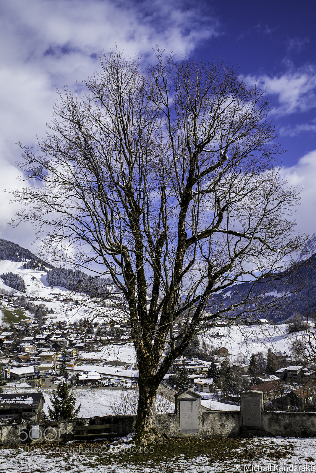 Leica M (Typ 262) sample photo. Chateaud'oex photography
