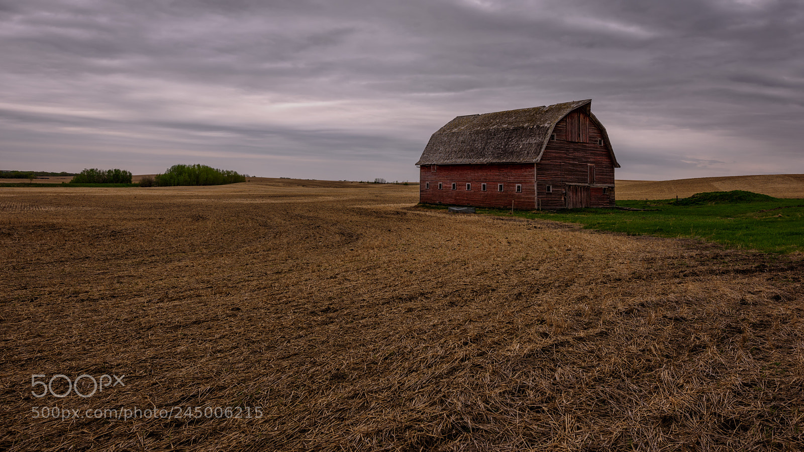 Nikon D810 sample photo. Before the rain photography