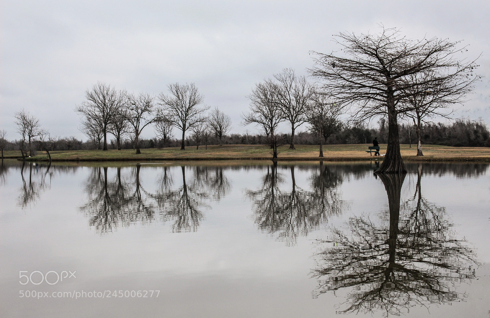 Canon EOS 700D (EOS Rebel T5i / EOS Kiss X7i) sample photo. Houston kinda of winter. photography