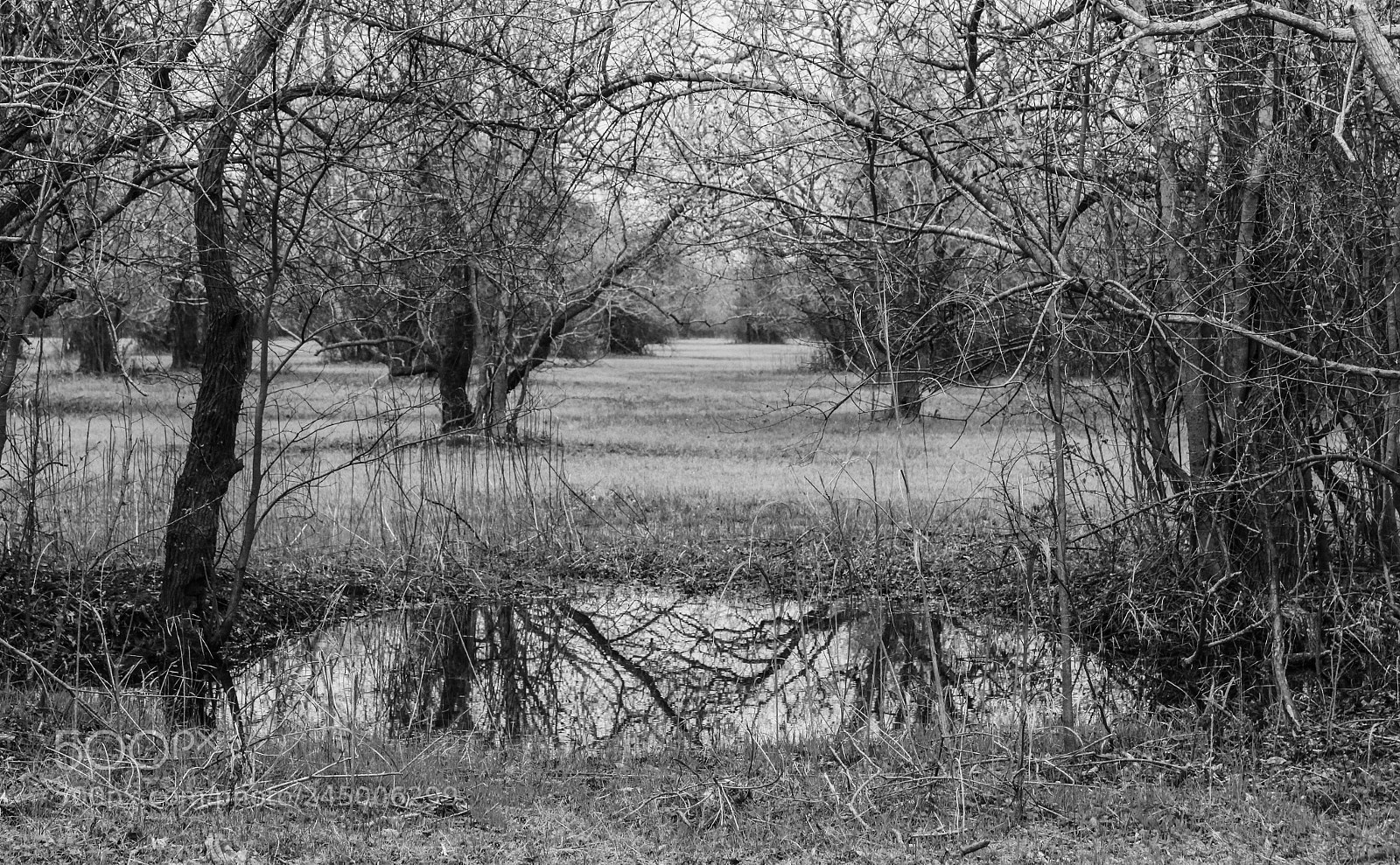 Canon EOS 700D (EOS Rebel T5i / EOS Kiss X7i) sample photo. Houston kinda of winter. photography