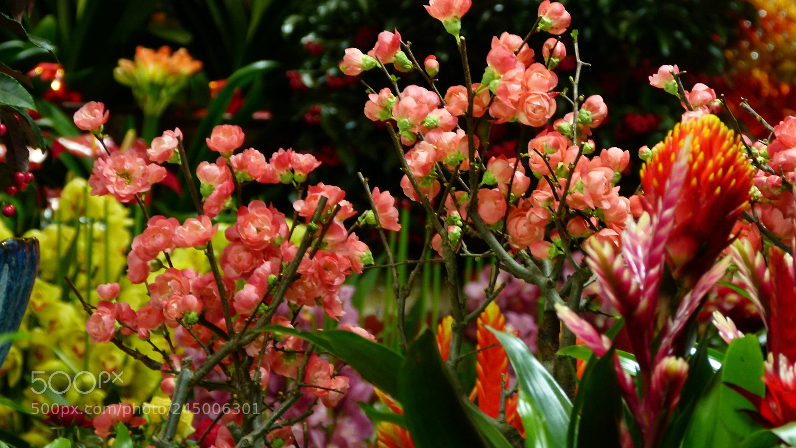 Leica V-Lux 2 sample photo. Untitled photography