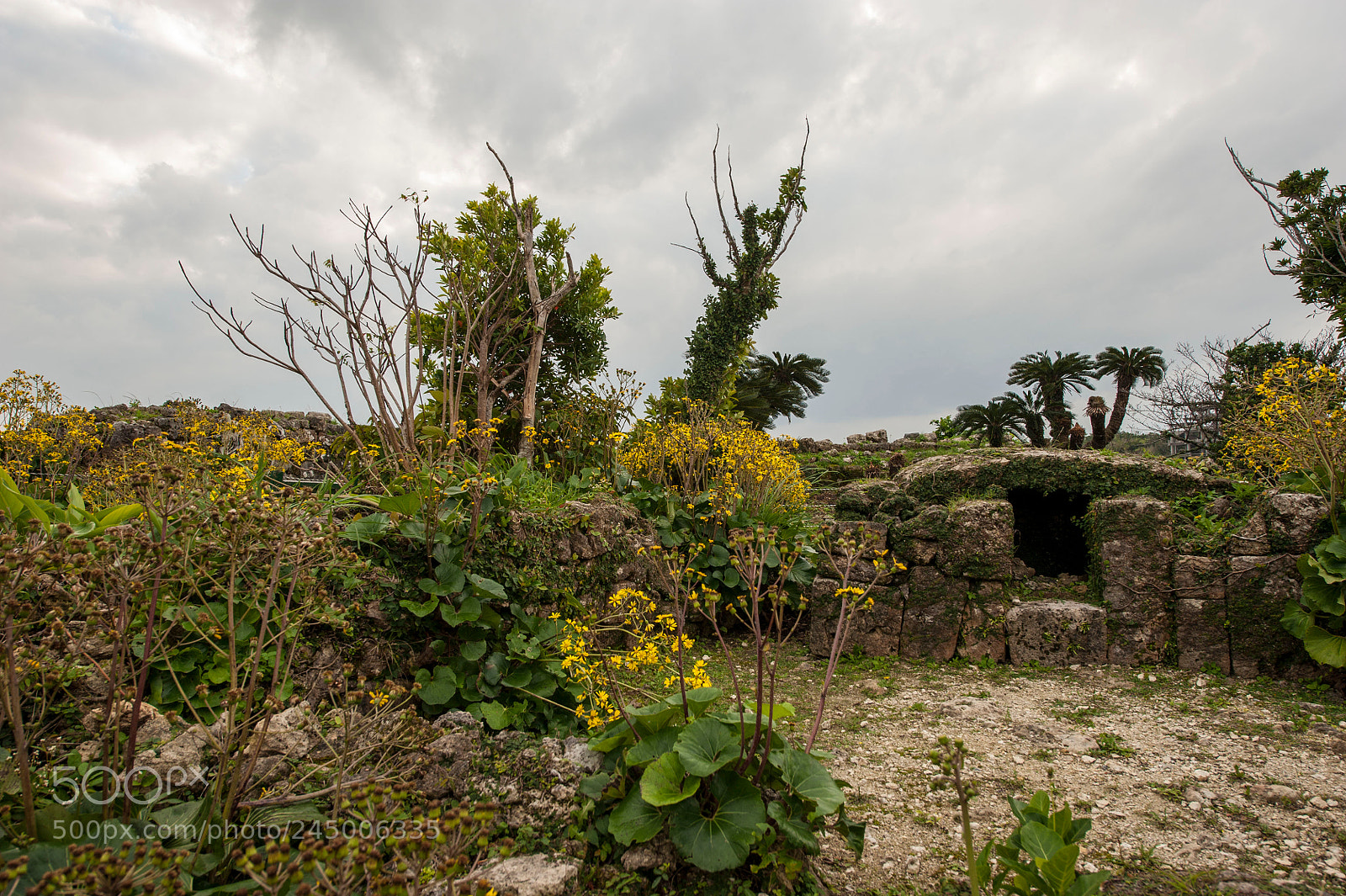 Nikon D700 sample photo. Okinawa photography