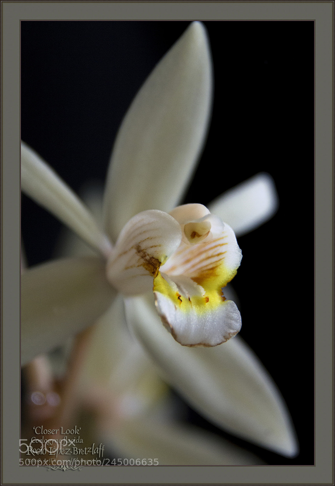 Canon EOS 60D sample photo. 'closer look' photography