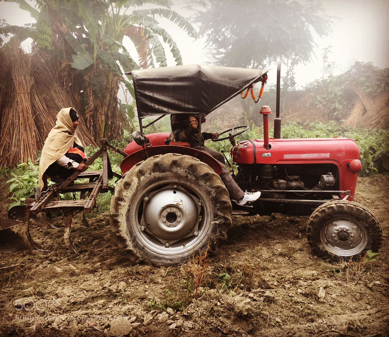 Apple iPhone 6s sample photo. Farmer photography