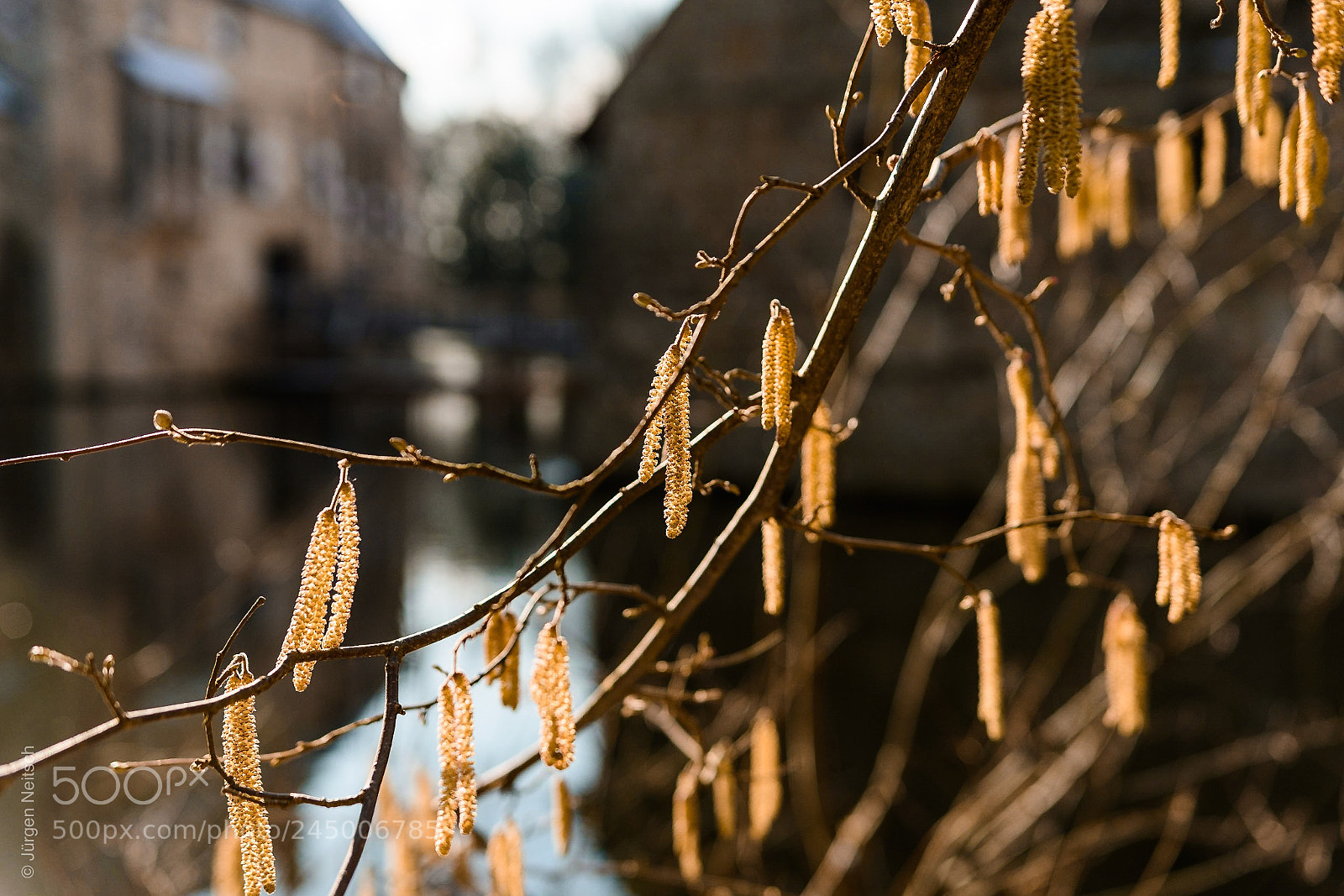 Nikon D500 sample photo. Lichtspiele burg vischering photography