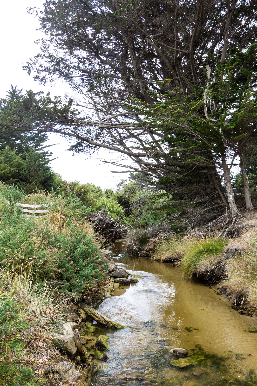 Sony Cyber-shot DSC-RX100 sample photo. One of 1000s creeks photography