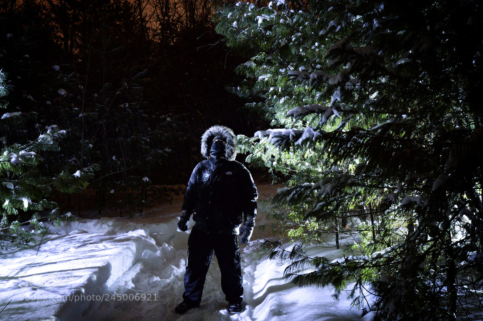 Nikon D610 sample photo. Close encounter photography