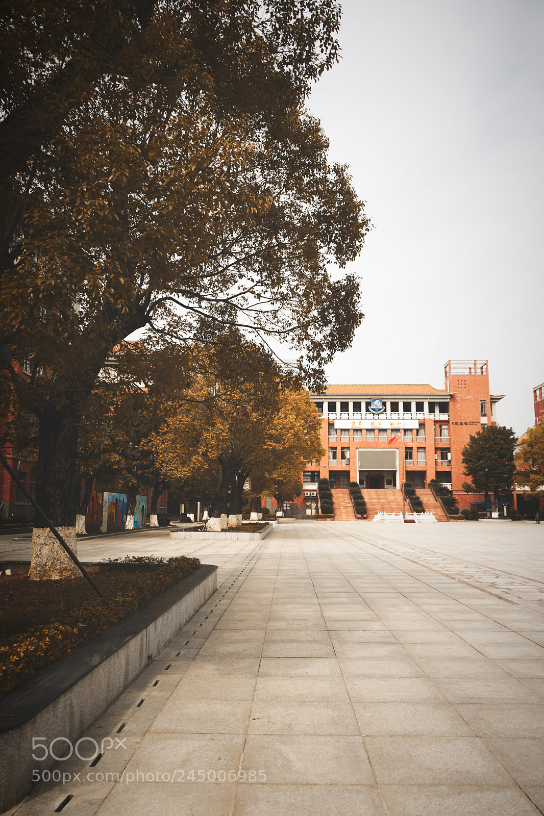 Sony a7 II sample photo. School photography