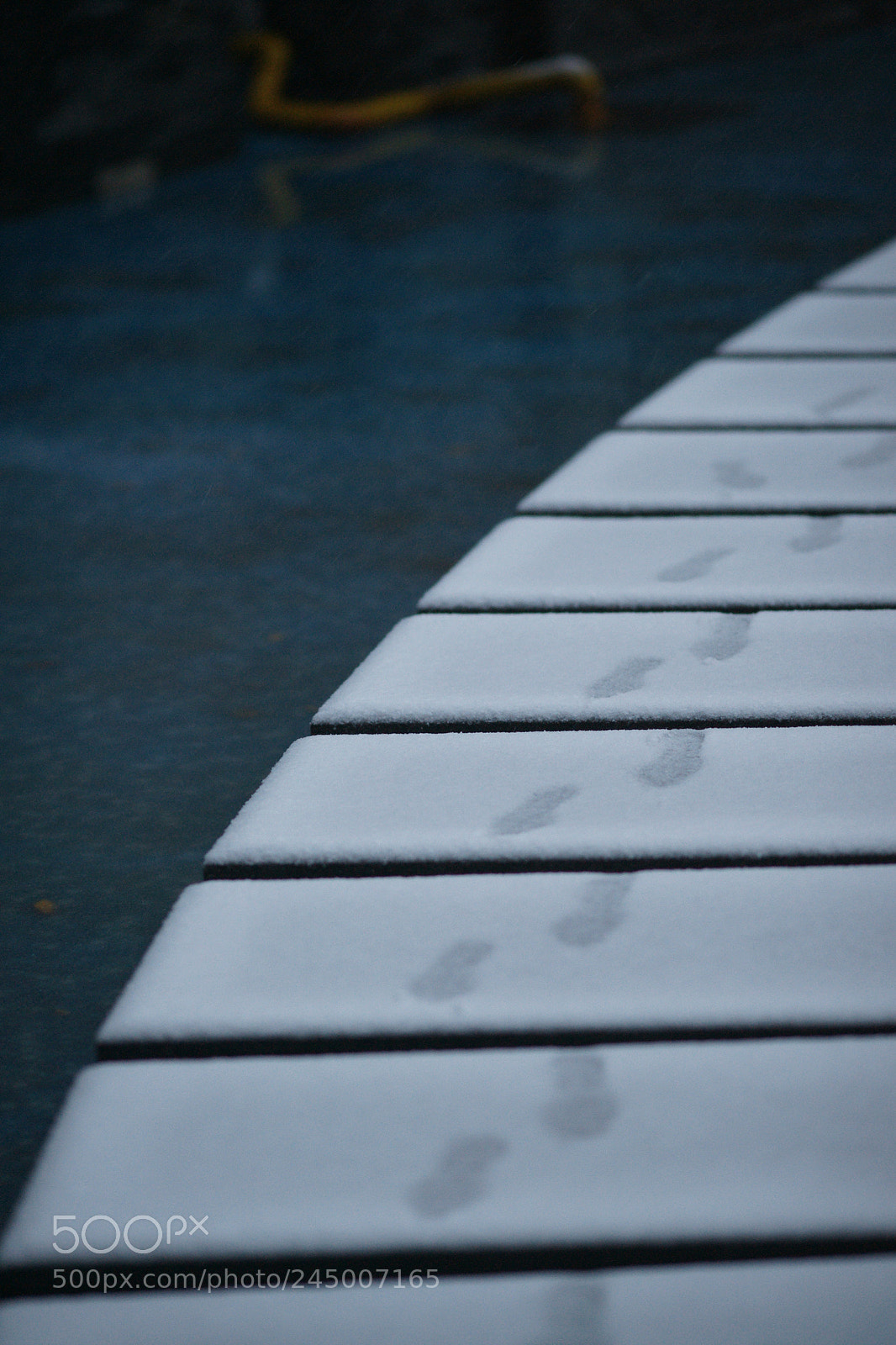 Sony Alpha DSLR-A850 sample photo. Untitled photography