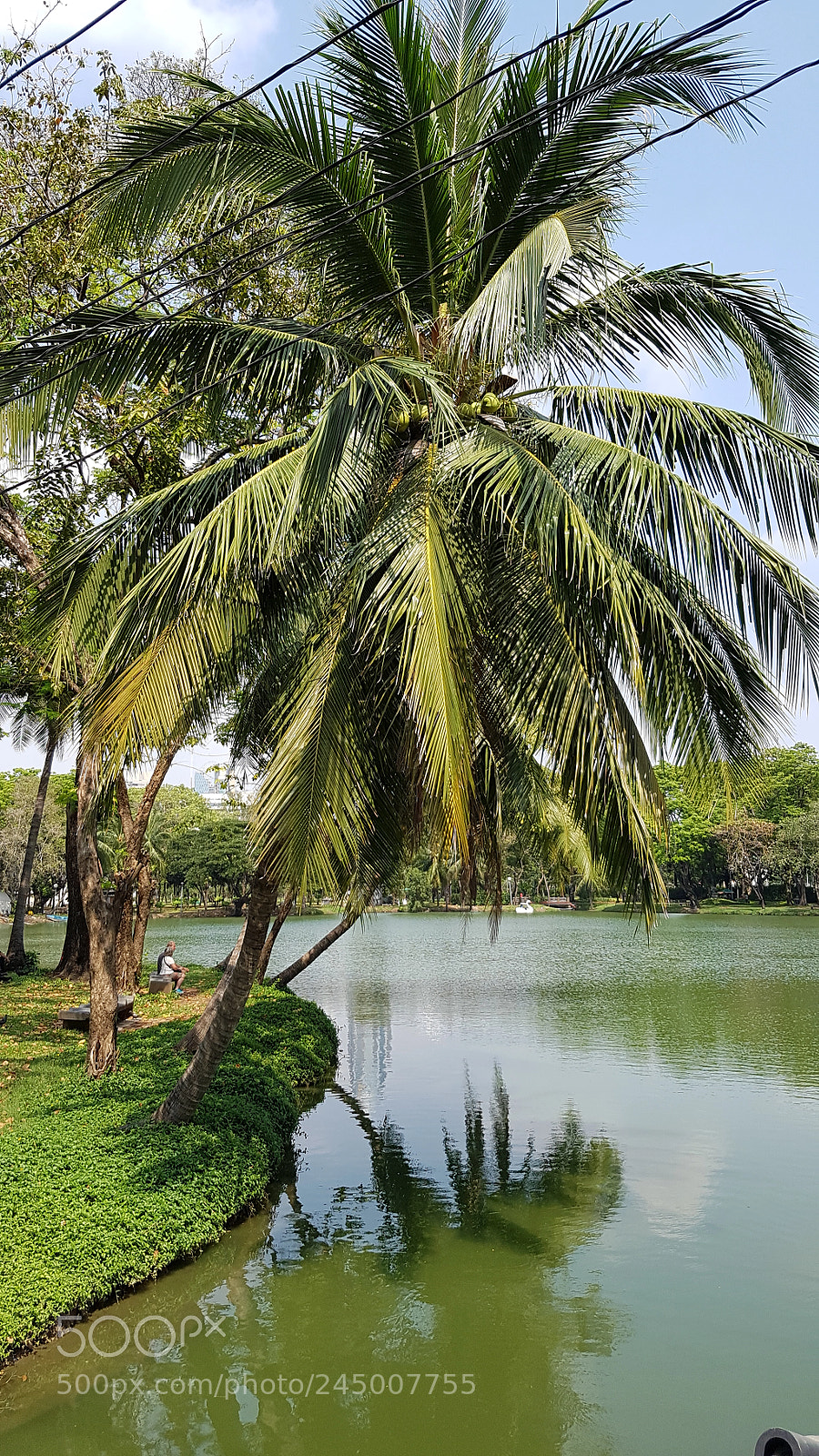Samsung Galaxy S7 Edge sample photo. Lumphini park, bangkok photography