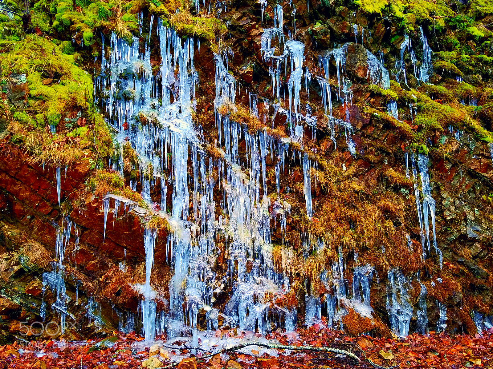 Samsung Galaxy S7 sample photo. Waiting for the thaw photography