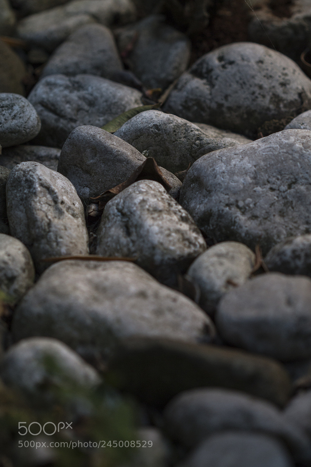Canon EOS 1100D (EOS Rebel T3 / EOS Kiss X50) sample photo. Rocks sleeping under sunset photography
