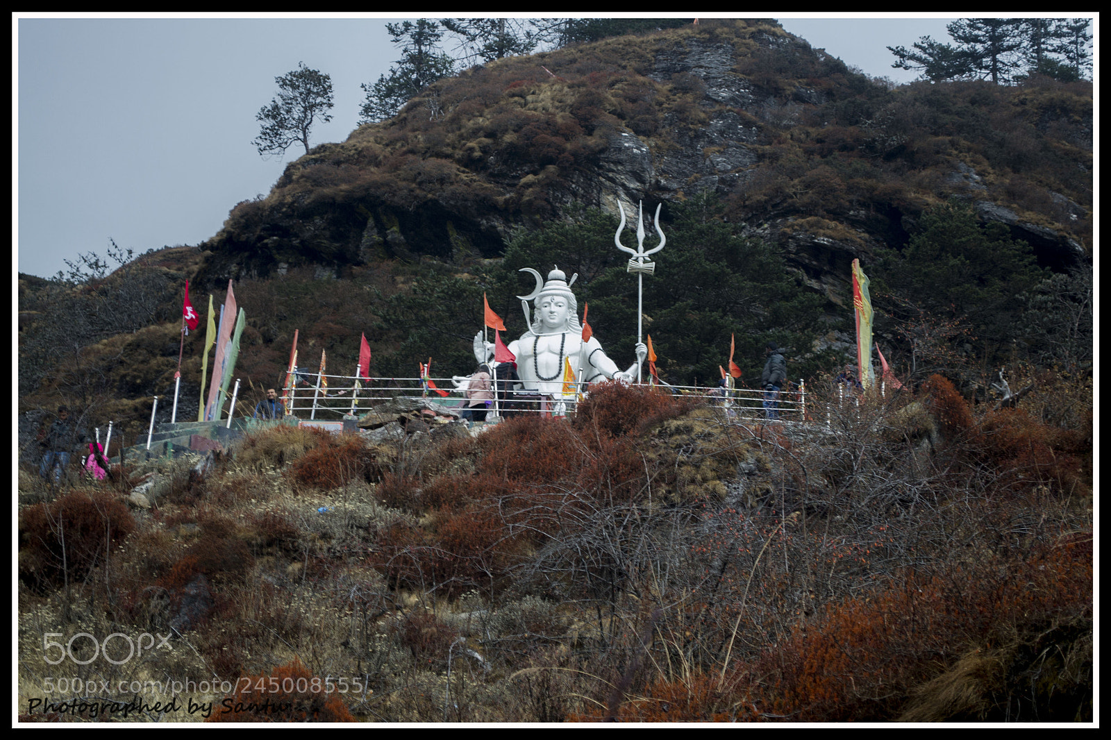 Nikon D3100 sample photo. Untitled photography