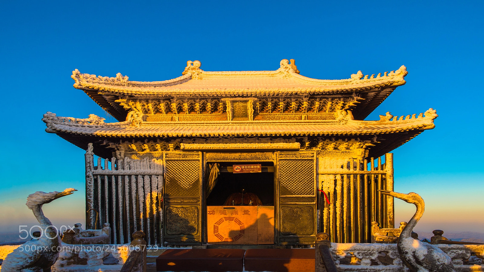 Nikon Df sample photo. The golden roof of photography