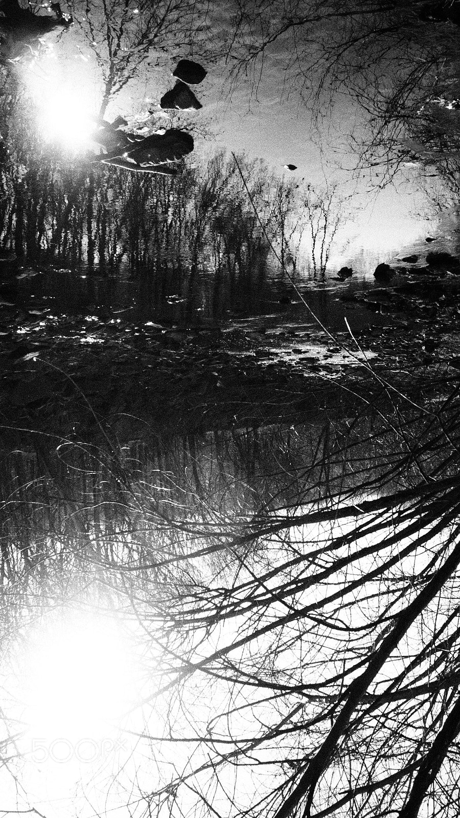 Olympus OM-D E-M10 III sample photo. Reflecting stream photography