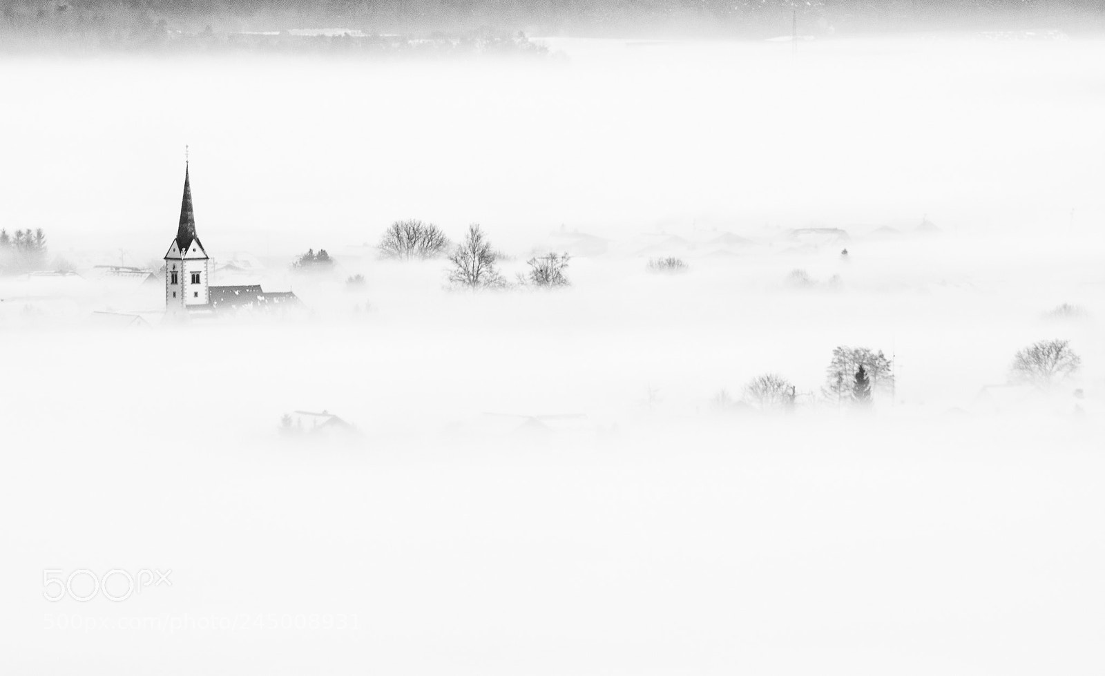 Nikon D7200 sample photo. Hidden by cold foggy photography