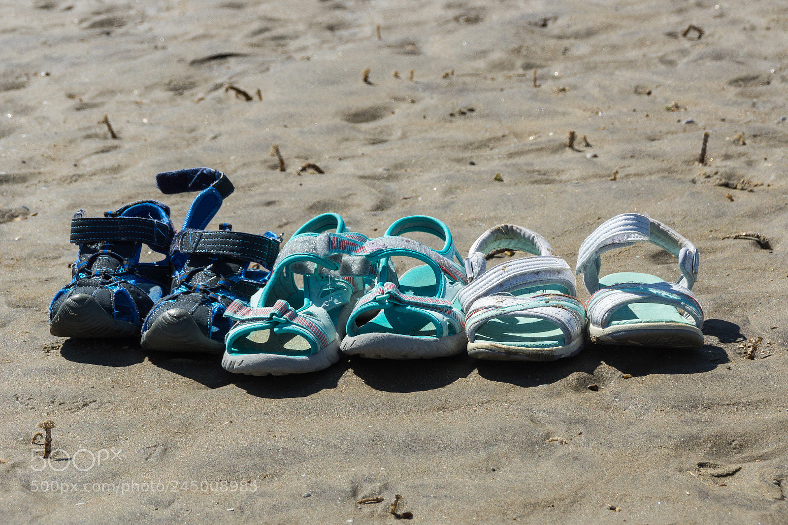 Sony SLT-A65 (SLT-A65V) sample photo. 40058498282.jpg photography