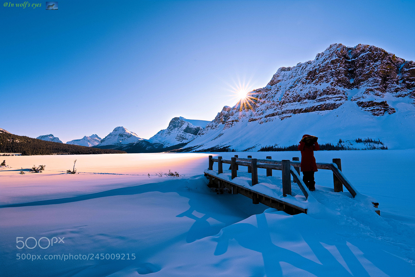 Nikon D810 sample photo. After snowing, canada photography