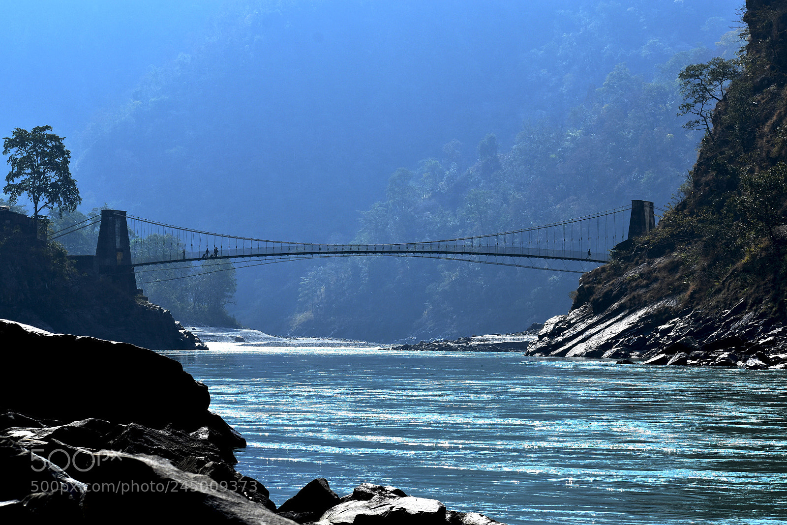 Nikon D5600 sample photo. Awesome view of himalaya photography