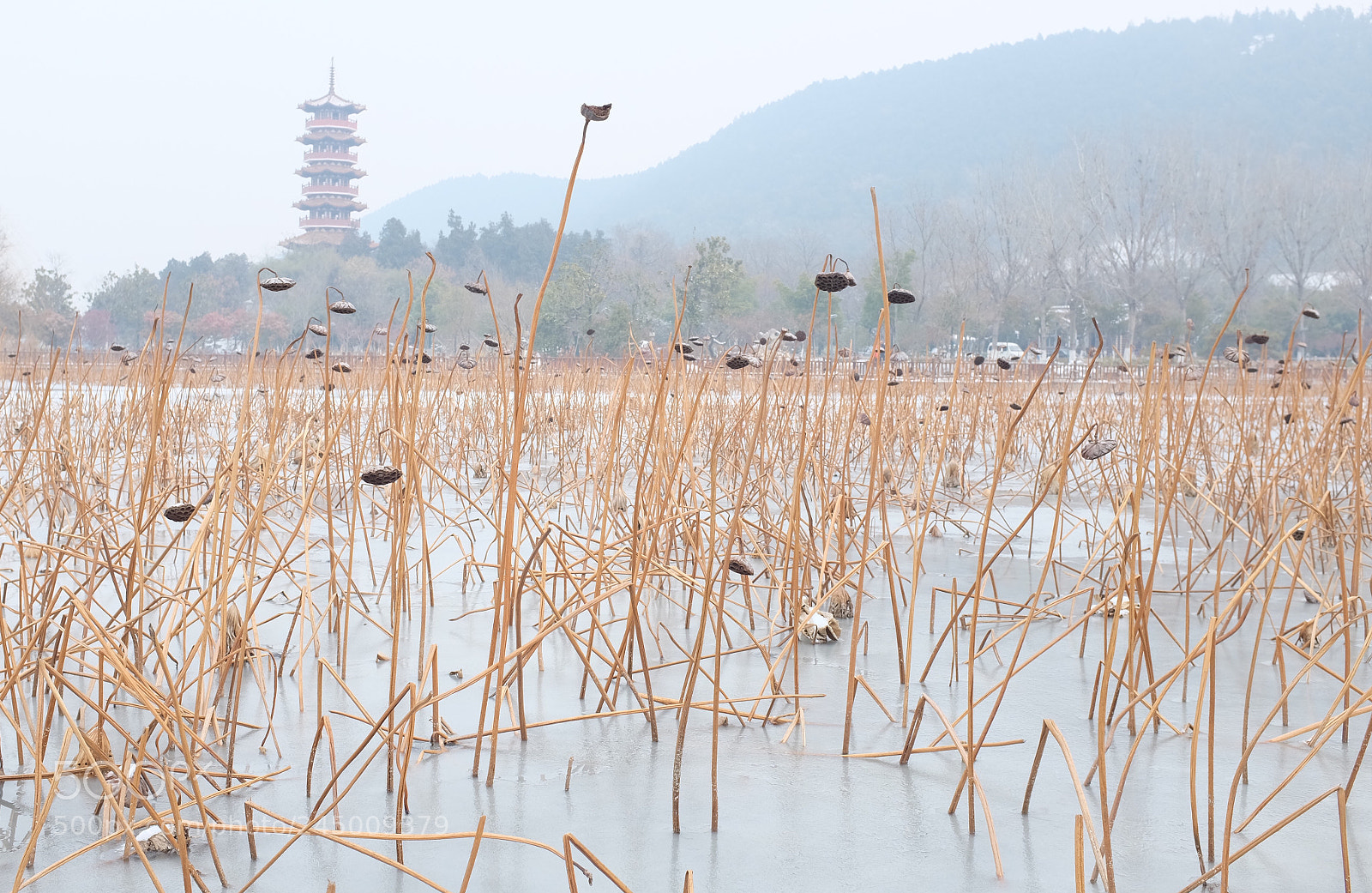 Fujifilm X100S sample photo. Untitled photography