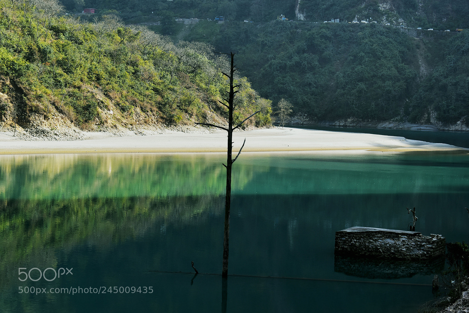 Nikon D5600 sample photo. Awesome view of himalaya photography