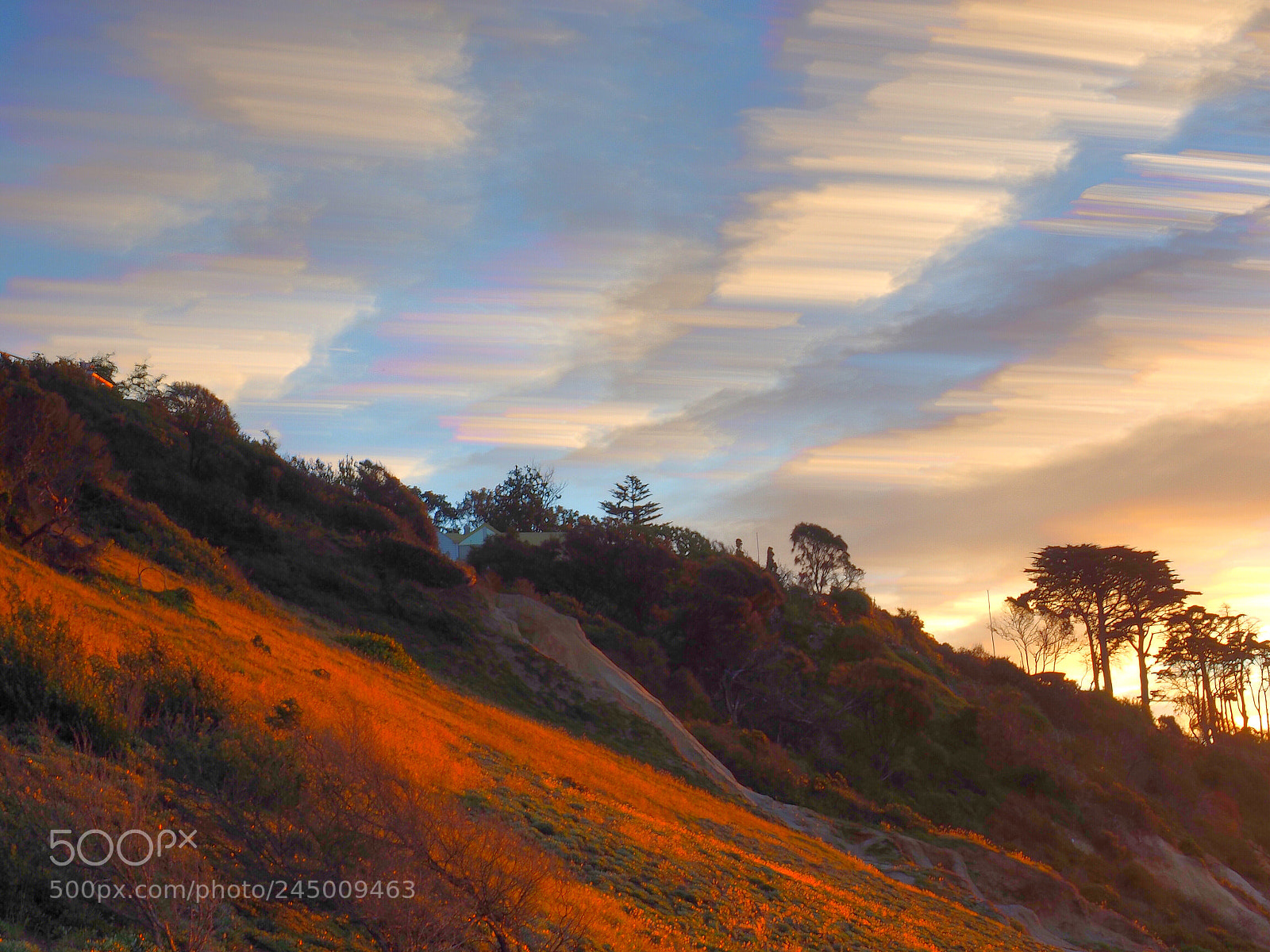 Olympus OM-D E-M1 sample photo. Sun kissed hills photography